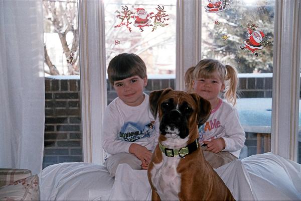 Jades Boxers - another happy family - Boxer puppies for sale in PA